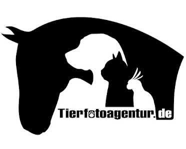 Tierfotoagentur – Bild 3