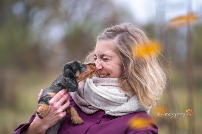Tierfotografie aus Lübeck und an der Ostsee - Kathygrafie